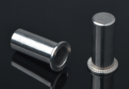Tipo de nuez de remache de cuerpo plano de cabecera plana de acero inoxidable